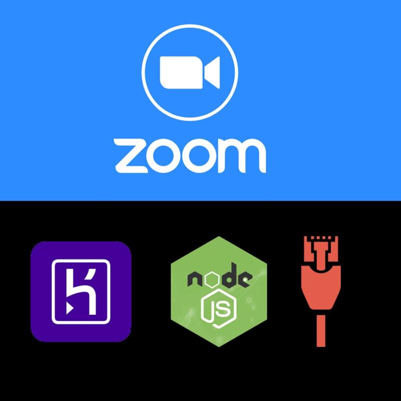 Zoom Logo